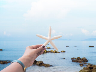hand holding starfish shape over summer beach background.