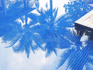 Reflection of coconut trees in swimming pool