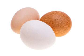 chicken egg isolated