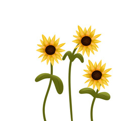 Beautiful sunflower illustration