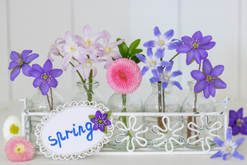 Frühlingsblumen in Pastellfarben in Glasflaschen als florale Dekoration	
