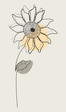 recommend clip art: Continuous one line drawing of sunflower. Minimalist art. Vector illustration.