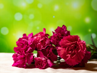 Bouquet of pink authorities closeup on green bokeh.