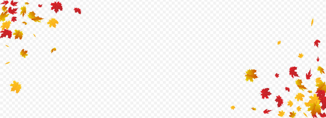 Brown Leaves Vector Panoramic Transparent