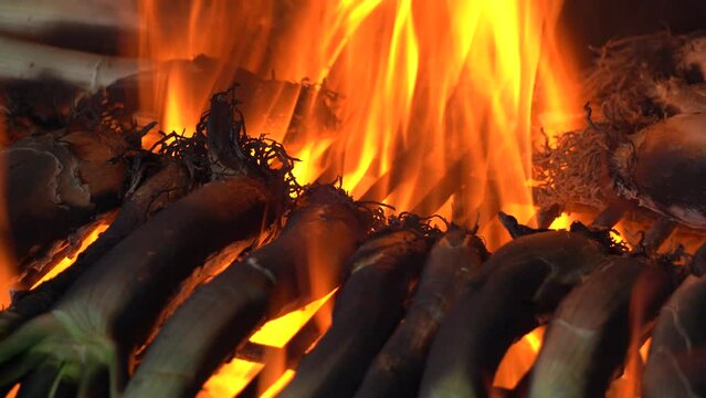 cocina de calcots t&iacute;pico de Catatonia en fuego