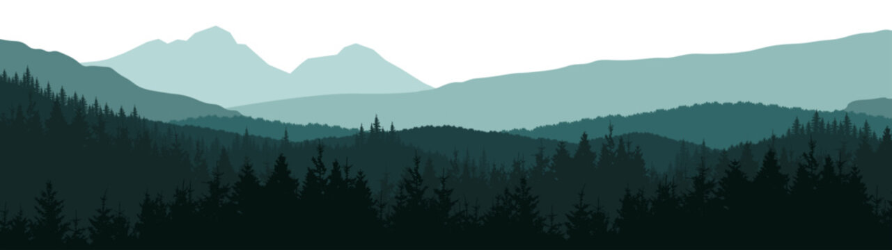 Forest woods hill mountains peak vector illustration banner nature outdoor adventure travel landscape panorama - Green silhouette of spruce and fir trees, isolated on white background