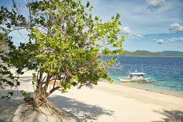 Fototapeta na wymiar Paradisiacal beach of Coron, Palawan in the Philippines with fine white beach, in the foreground a tree, in the water a boat.