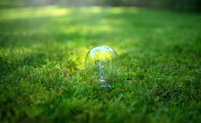 A round glass light bulb is stuck in the green grass in the ground. Earth Hour.Ecology of the...