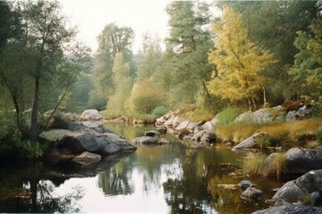 lake in the woods