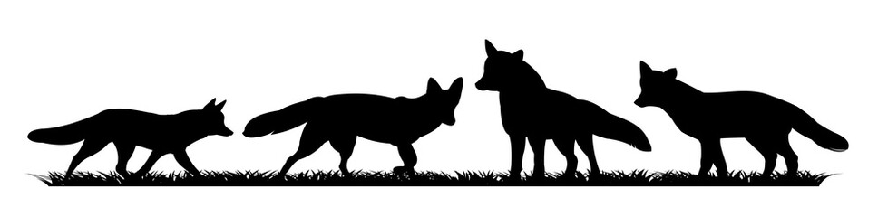 Flock of foxes on grass. Animal silhouette. Wild life picture. Isolated on white background. Vector.