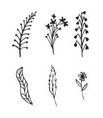 Set of  hand drawn Floral elements vector illustration, isolated on white background