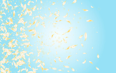 Fototapeta na wymiar White Flower Summer Vector Blue Background. Gold