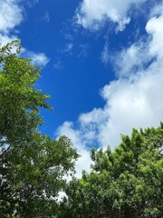 Obraz premium Looking at the blue sky with clouds