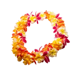 Foto op Plexiglas hawaii garland of frangipani flowers - lei , isolated on transparent background cutout , generative ai © Natural PNG