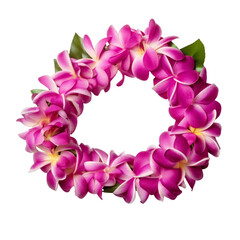 Fototapeta na wymiar hawaii garland of pink Frangipani flowers - lei