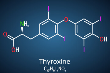 Thyroxine, T4, levothyroxine molecule. It is thyroid hormone, prohormone of thyronine T3, used to treat hypothyroidism. Structural chemical formula on the dark blue background.