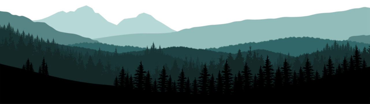 Forest woods hill mountains peak vector illustration banner nature outdoor adventure travel landscape panorama - Green silhouette of spruce and fir trees, isolated on white background..