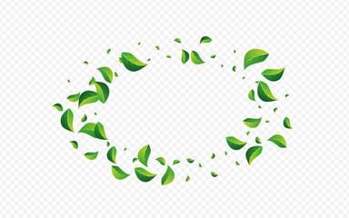 Swamp Foliage Blur Vector Transparent Background.