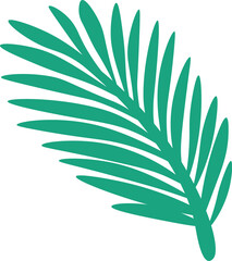 Tropical plant leaf shape