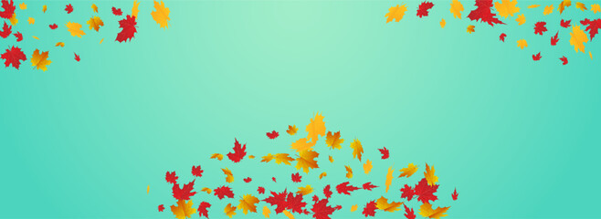 Autumnal Leaf Vector Blue Panoramic Background.