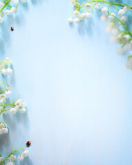 Spring flower border on blue background; white spring blossom border; copy space - 583456463