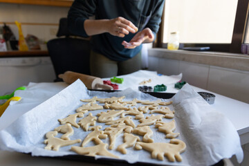 A woman baking - cookies in the shape of dinosaurs on the baking sheet