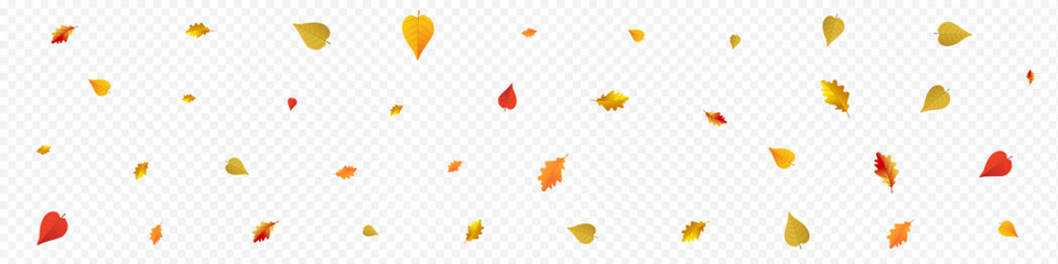 Colorful Leaves Vector Panoramic Transparent