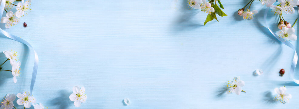Art Spring flower border on blue background; white spring blossom border; Spring Floral Frame with copy space