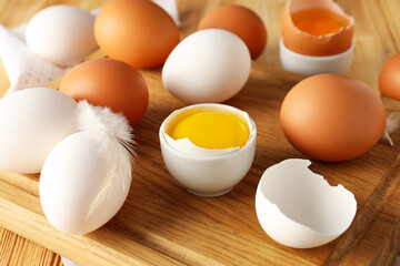 Main ingredient for cooking different dishes- eggs