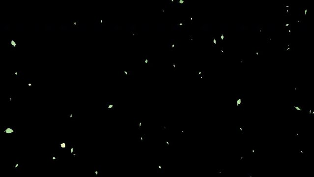 Falling leaves. Looping video background. leaves only.