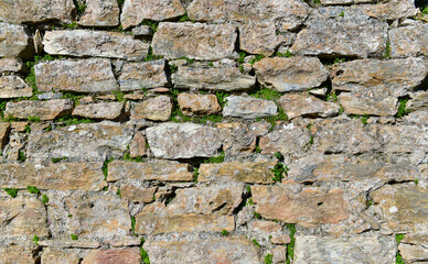 Ancient History Stone Wall Art
