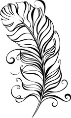 Obraz premium Fluffy Feather