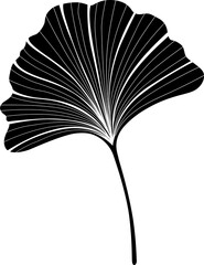 Monochrome Leaf of Ginko Biloba