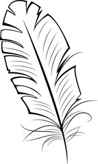 Silhouette Feather