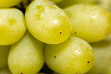 close-up macro shot of green grapes
