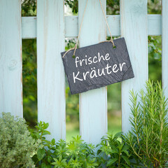 Frische Kräuter - 583466876