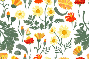 Seamless pattern with hand drawn garden flowers