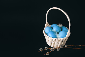 Easter holiday card with basket full of blue painted eggs on black background with pussy willow twigs. Copy space. Text place. Springtime mockup design. Traditional food. Layout. Close-up