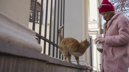 Kind girl feeds a three-legged stray cat on the street with dry food