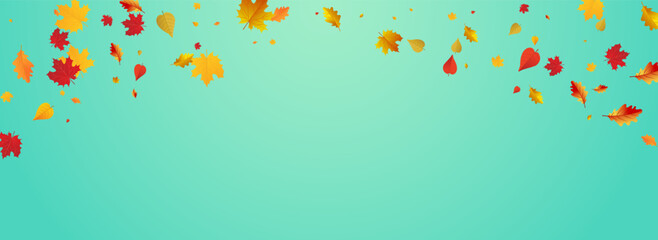 Golden Leaves Vector Blue Panoramic Background.