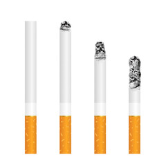 Set of cigarettes with ash during different stages of burn. Cigarettes vector illustration