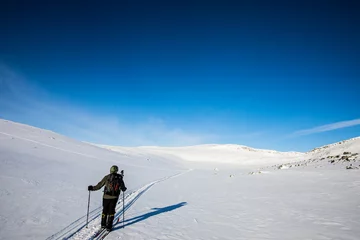 Fotobehang Ski expedition in Dovrefjell National Park, Norway © Alberto Gonzalez 
