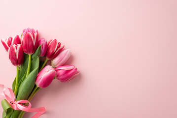 Mother's Day concept. Top view photo of bouquet of pink tulips tied with ribbon on isolated pastel pink background with copyspace