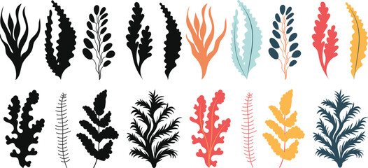 seaweed set on white background isolated vector