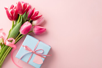 Mother's Day decorations concept. Top view photo of blue giftbox with ribbon bow and bouquet of pink tulips on isolated pastel pink background with copyspace