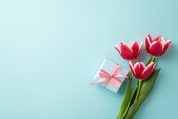 Fototapeta premium Mother's Day atmosphere concept. Top view photo of pink tulips and small giftbox with ribbon bow on isolated pastel blue background with empty space