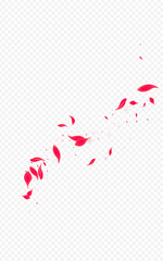 Red Flower Vector Transparent Background. Falling