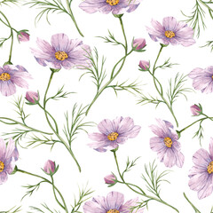 Cosmoea wild flowers, floral watercolor seamless pattern with colorful flowers, on white background, hand painted summer meadow illustration