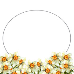 Watercolor frame easter with daffodil. Spring floral illustration isolated on transparent background.