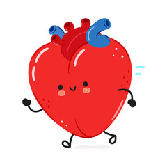 Cute funny running heart organ. Vector hand drawn cartoon kawaii character illustration icon. Isolated on white background. Run heart organ concept